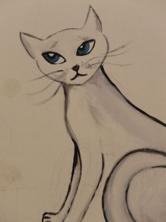 猫 画画 图片 绘画 动物 涂鸦 作画 艺术品 艺术家