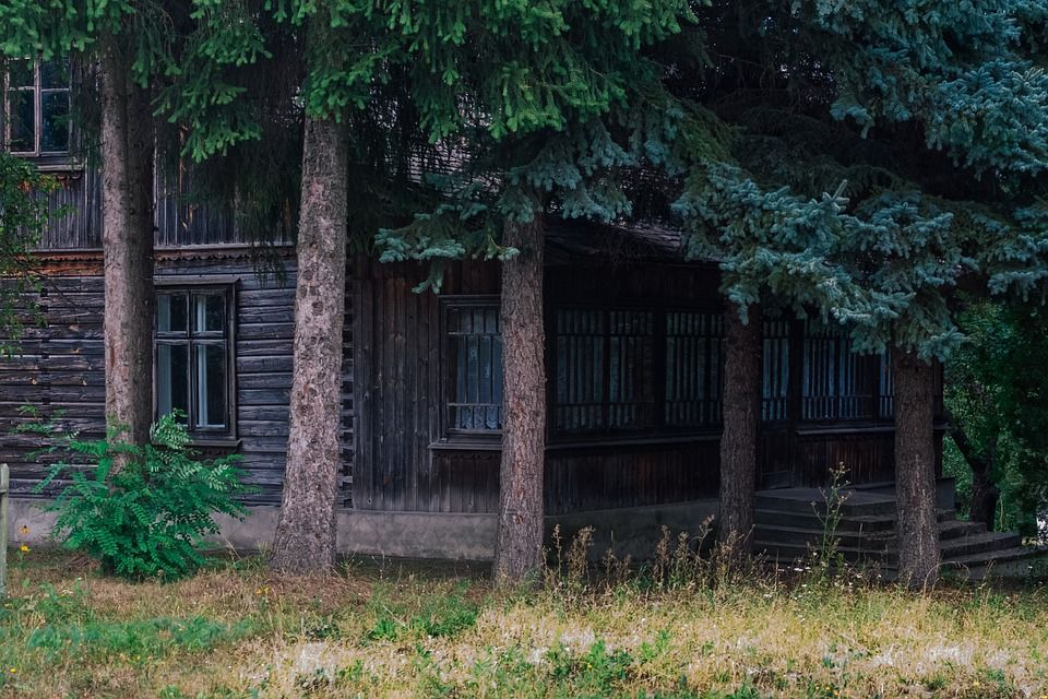 房子, 自然, 舱, 小屋, 农村, 木制的, 树木, 户外, 镇, 村庄