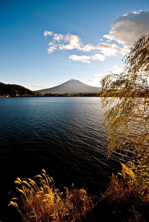 山 富士 湖 川口 秋天 蓝天 下午 冷静的