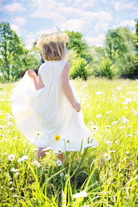 小姑娘 雏菊 夏天 童年 自然 愉快 草地 玩 喜悦 绿色