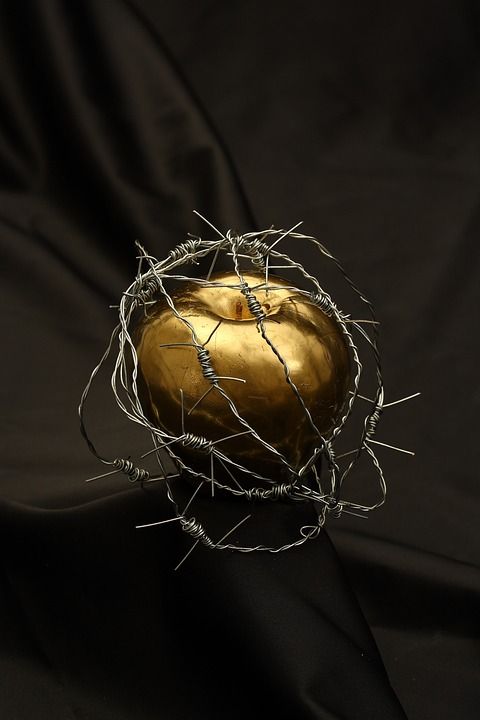 苹果 铁丝网 刺 金属 金子 黄色 画 小说 禁止 亚当