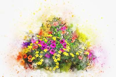 花 花束 自然 艺术 抽象 水彩 优质的 花瓶 浪漫的 感情