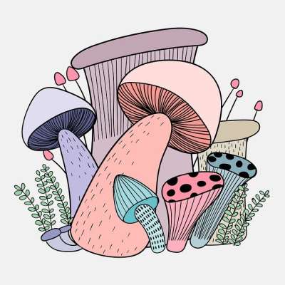 蘑菇 涂鸦 线条艺术 线描 卡通画 艺术 数字艺术 数字绘图