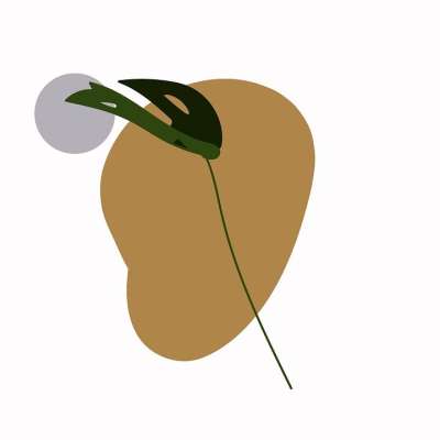 龟背竹 叶子 放荡不羁的 植物 背景 床单 热带 画画 设计