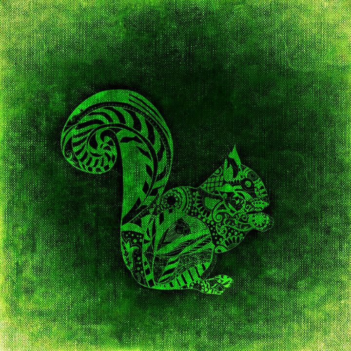 松鼠, 绿色, 抽象的