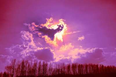 天空 天堂 云 阳光 靛青 紫色的 轮廓 树剪影 红色的景观