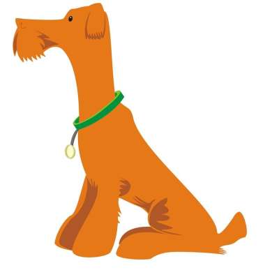 动物 吠 犬类 狗 朋友 毛皮 人道 图标 孤立 标志