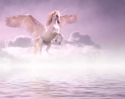 独角兽 云 幻想 翅膀 马 天空 多雾路段 湖 水 自然