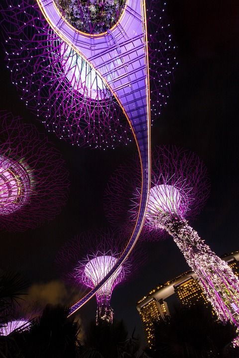 新加坡 夜晚 建筑学 亚洲 建造 摩天大楼 城市 灯光 灯