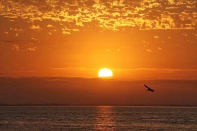 日出 自然 太阳 阳光 幸福 日落 阳光明媚 提高 橙色高兴