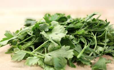 欧芹 香菜卷 家庭保护伞 调味品 烹饪的调味料