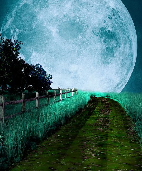 月亮 夜晚 路 草 树木 栅栏 背景 幻想 满月