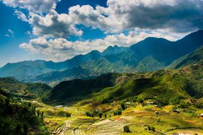 沙巴 越南 农场 梯田 阳台 旅行 亚洲 环境 原野 白饭