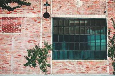 工业的 建造 窗户 砖 墙 植被 苦力怕 生长 外部的 颜色