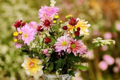 一束花朵 落下 秋天的花束 花 装饰 大丽花 菊花 Asters