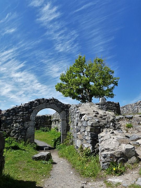 狮子城堡 Siebengebirge 拱道 树 天堂 废墟 城堡废墟
