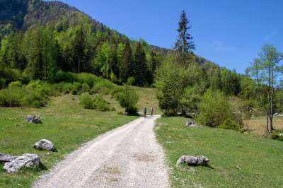 运动的 越野自行车 自然 景观 草 山 自行车之旅 娱乐体育