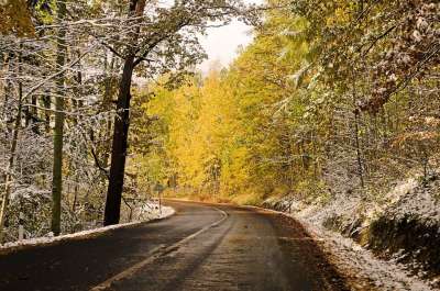 冬季 路 旅行 雪 景观 假期 背景 帆布 捷克共和国 高地