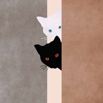 猫 宠物 背景 眼睛 俏皮的 画画 设计 淘气 动物 猫科动物