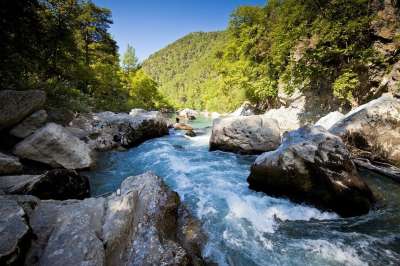 水 急流 河 瀑布 景观 森林 溪 流动 白水 岩石 河道