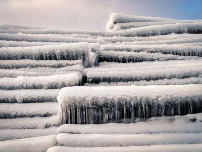 树干 冰 霜 雪 冻结 寒冷的 自然 Eiskristalle