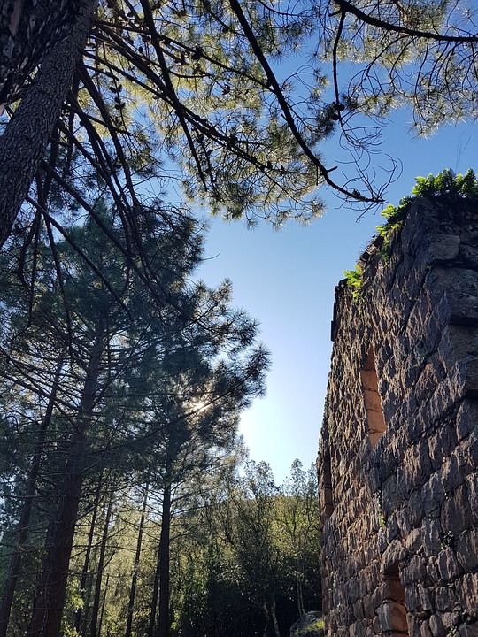 花岗岩 废墟 自由石 科西嘉 前 石头 森林 马奇 景观 自然