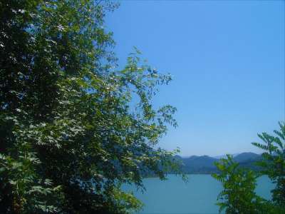 看法 自然 目标 森林 草本植物 树 景观 天空 农村 那