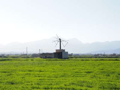 风车 老的 已到期 废墟 马略卡岛 室 磨 风能 翅膀 风力