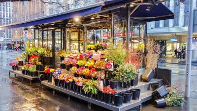 花店 花 店铺 春天 自然 颜色 花的 丰富多彩的 植物 庆典