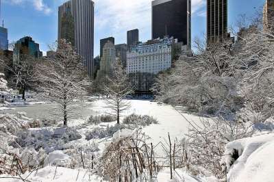 纽约 城市 曼哈顿 中央 公园 雪 风暴 冬天 建造 摩天大楼