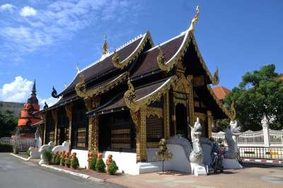 寺庙 泰国 清迈 佛教徒 崇拜 修道院 蒋 扫管笏 宗教 旅行