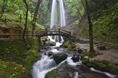 瀑布 级联 自然 景观 溪 森林 户外的 山 风景秀丽的
