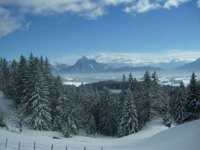 富森纳土地 阿尔卑斯山 冬天 从垂直方向看 高山全景 支柱 雪