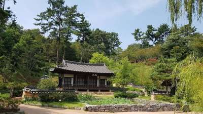 韩屋 花园 大韩民国 树 传统建筑 前提 韩国传统 房子 景观