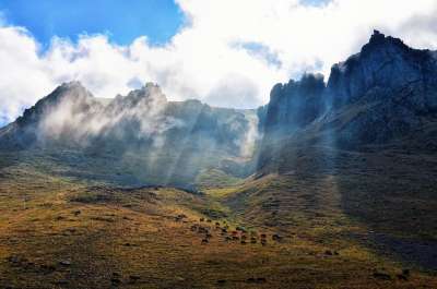 自然 看法 Kaçkars 景观自然 草 山 绿色 和平 牧场