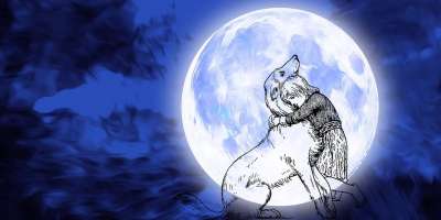 生日快乐 生日快樂 狗 小狗 宠物 月亮 夜晚 天空 满月