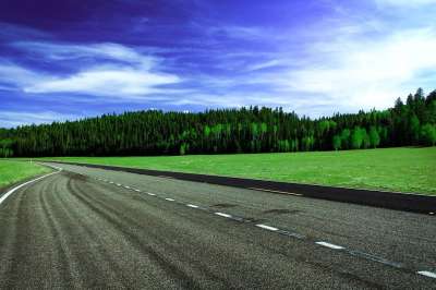 路 草 沥青 户外 树 凯巴布国家森林 绿色的道路