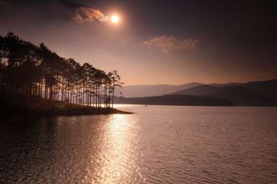 湖 日落 黎明 太阳 山 远侧面 森林树木 松树林 没有一个人