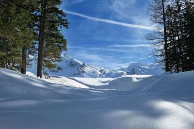 自然 景观 冬季景观 冬天 深雪 冬天的梦想 雪 雪辉煌 雪团