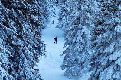 工艺路线 滑雪 休假 雪 弗罗斯特 冻结 在群山中 瑞士 伟大的