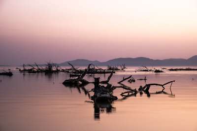 日落 海 日志 颜色 景观 自然