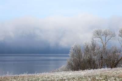 冬天 多雾路段 白色的 可怕的 神秘 情绪 风暴 雪 地平线