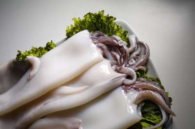 食品 鱿鱼 高的厨房 富有的 顶级厨师 厨师 恢复 摄影的产品