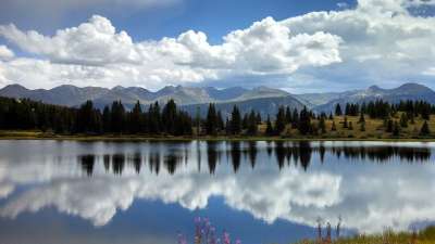 美丽的风景 水 风景秀丽的 湖 山 森林 草 公园 水中倒影