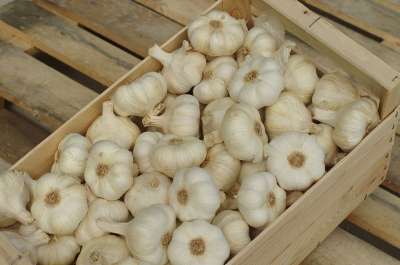 高清壁纸 大蒜 大蒜白 墙纸 食物 蔬菜 食品 风味 美食