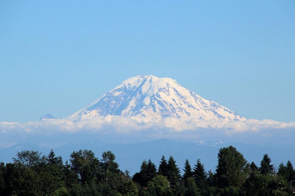 雷尼尔山, 西雅图, 山, 雪, 森林, 自然, 城市, 景观, 外表, 全景