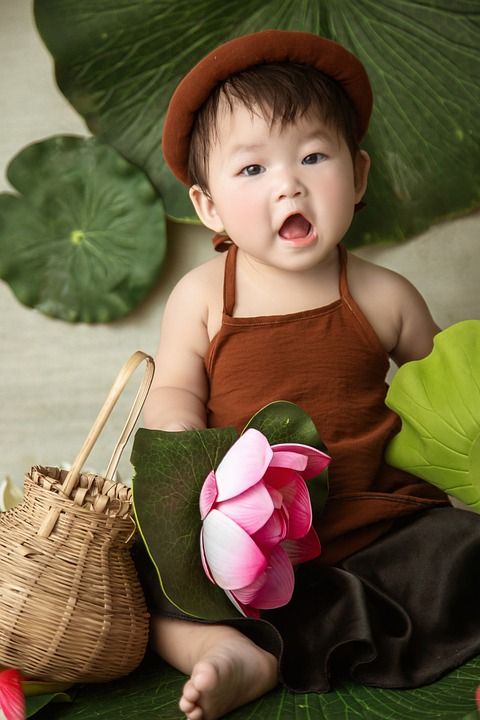 亚洲幼儿 宝宝拍摄 越南 婴儿 学步的儿童 树叶 莲花 孩子