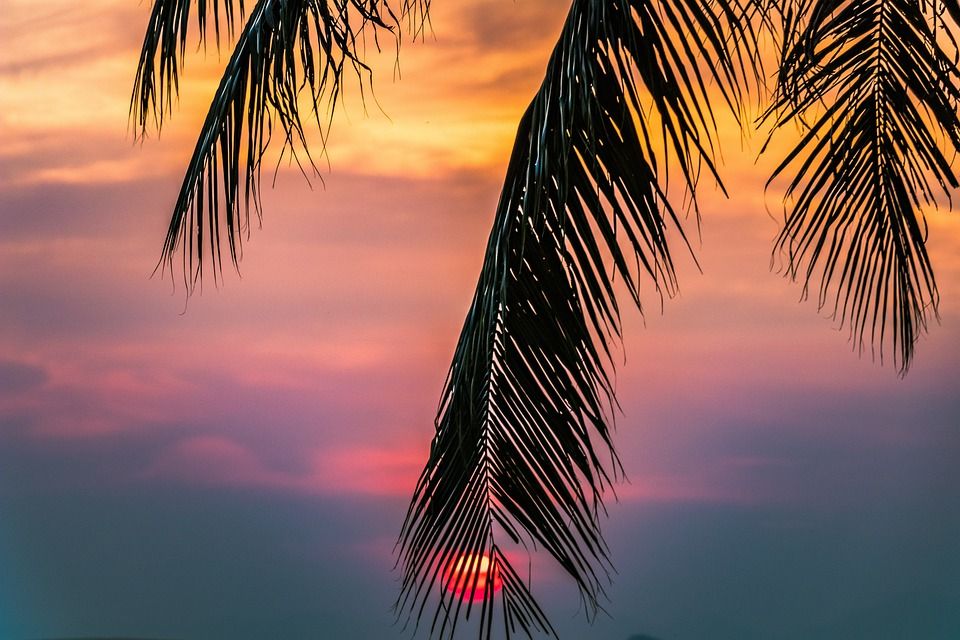 日落, 海滩, 热带, 海岸, Arecaceae, 天空, 没有一个人, 太阳