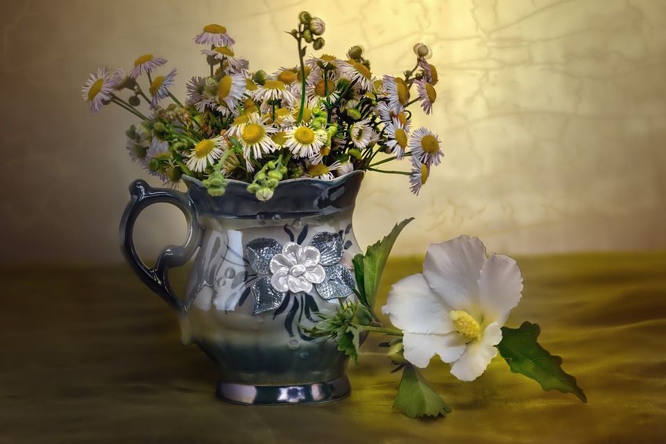 花卉, 花瓣, 盛开, 工厂, 自然, 芙蓉, 静物, 锦葵