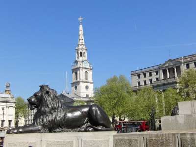 特拉法加广场 伦敦 狮子 狮子王 联合王国 英语 英国